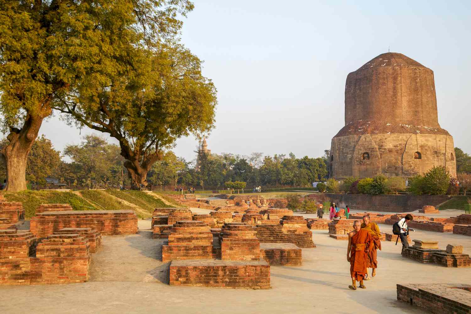 blog image